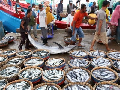 antarafoto-potensi-perikanan-laut-aceh-170623-irp-4-1